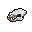 werebadger skull